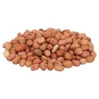 KACANG TANAH INDIA (1GUNI X 25KG)