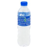 CACTUS MINERAL WATER (1CTN X 24BTLS X 500ML)