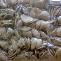 KRUPUK PERISA UDANG (1CTN X20PKT X 500G)