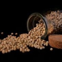 BIJI LADA PUTIH (1 KG)