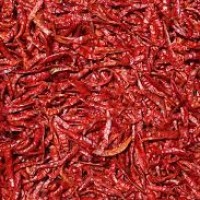 CILI KERING BYDAGI T T (668) (1BAG X 1.1KG)