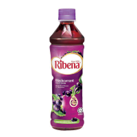 RIBENA (1CTN X 24BTL X450ML)