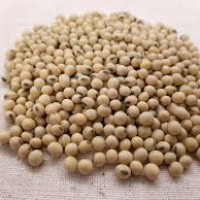 KACANG SOYA (1 KG)